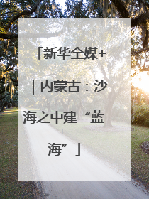 新华全媒+｜内蒙古：沙海之中建“蓝海”