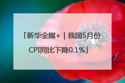 新华全媒+｜我国5月份CPI同比下降0.1%