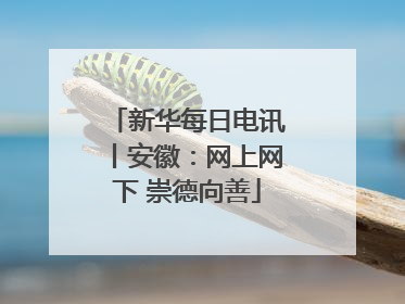 新华每日电讯丨安徽：网上网下 崇德向善