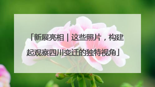 新展亮相｜这些照片，构建起观察四川变迁的独特视角