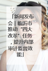 新闻发布会｜临沂市推动“四大改革”任务，提升内部审计监督效能