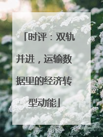 时评：双轨并进，运输数据里的经济转型动能