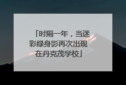 时隔一年，当迷彩绿身影再次出现在丹克茂学校