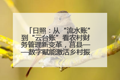 日照：从“流水账”到“云台账”看农村财务管理新变革，莒县——数字赋能激活乡村振兴“一池春水”