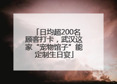 日均超200名顾客打卡，武汉这家“宠物馆子”能定制生日宴
