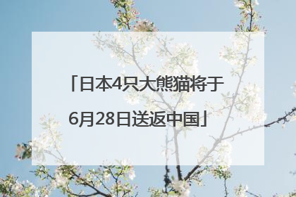 日本4只大熊猫将于6月28日送返中国