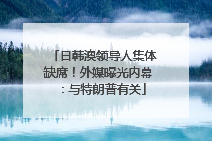 日韩澳领导人集体缺席！外媒曝光内幕：与特朗普有关