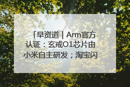 早资道｜Arm官方认证：玄戒O1芯片由小米自主研发；淘宝闪购联合饿了么日订单超4000万