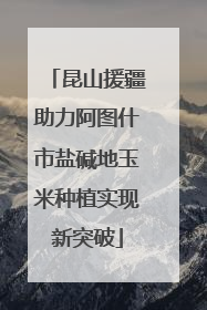 昆山援疆助力阿图什市盐碱地玉米种植实现新突破