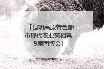 昆明高原特色都市现代农业亮相第9届南博会