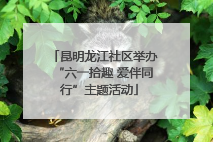 昆明龙江社区举办“六一拾趣 爱伴同行”主题活动