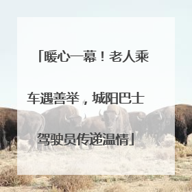 暖心一幕！老人乘车遇善举，城阳巴士驾驶员传递温情