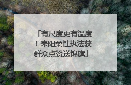 有尺度更有温度！耒阳柔性执法获群众点赞送锦旗