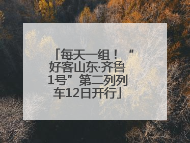 每天一组！“好客山东·齐鲁1号”第二列列车12日开行