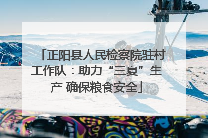 正阳县人民检察院驻村工作队：助力“三夏”生产 确保粮食安全