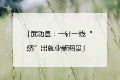 武功县：一针一线“绣”出就业新图景
