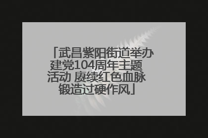 武昌紫阳街道举办建党104周年主题活动 赓续红色血脉锻造过硬作风