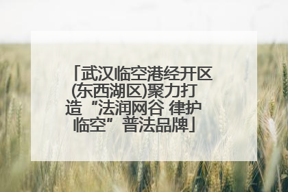 武汉临空港经开区(东西湖区)聚力打造“法润网谷 律护临空”普法品牌