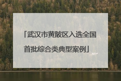武汉市黄陂区入选全国首批综合类典型案例