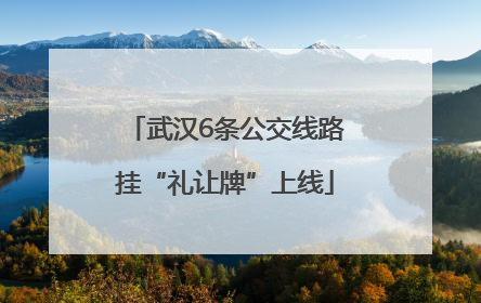 武汉6条公交线路挂“礼让牌”上线
