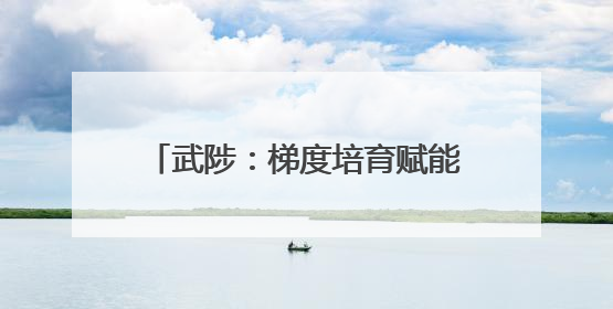 武陟：梯度培育赋能企业“拔节生长”