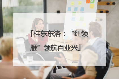 桂东东洛：“红领雁”领航百业兴