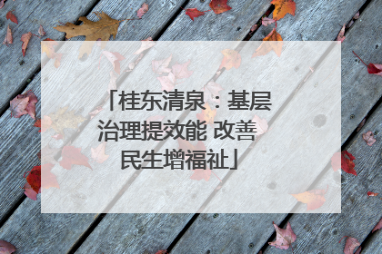 桂东清泉：基层治理提效能 改善民生增福祉