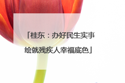 桂东：办好民生实事 绘就残疾人幸福底色