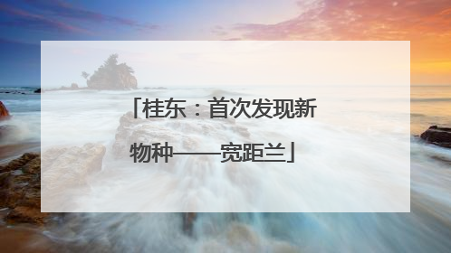 桂东：首次发现新物种——宽距兰