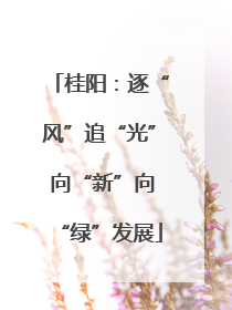 桂阳：逐“风”追“光” 向“新”向“绿”发展