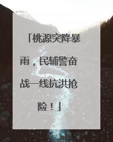 桃源突降暴雨，民辅警奋战一线抗洪抢险！