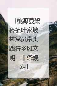桃源县架桥镇叶家坡村党员带头践行乡风文明二十条规定