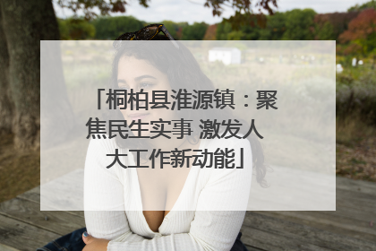 桐柏县淮源镇：聚焦民生实事 激发人大工作新动能