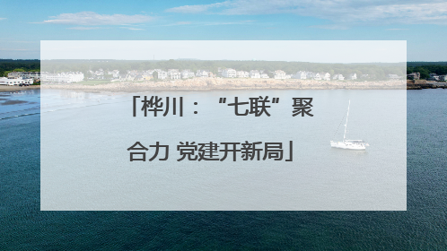 桦川：“七联”聚合力 党建开新局