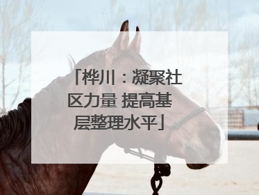 桦川：凝聚社区力量 提高基层整理水平