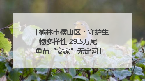 榆林市横山区：守护生物多样性 29.5万尾鱼苗“安家”无定河
