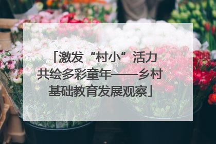 激发“村小”活力 共绘多彩童年——乡村基础教育发展观察