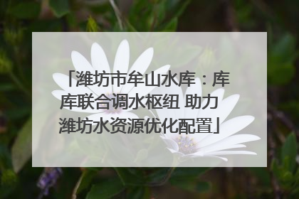 潍坊市牟山水库：库库联合调水枢纽 助力潍坊水资源优化配置