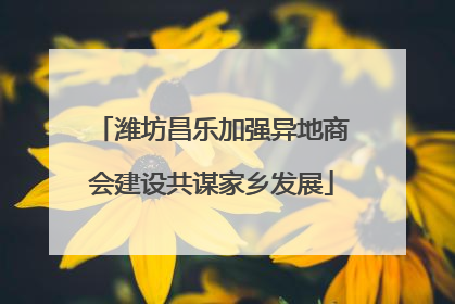潍坊昌乐加强异地商会建设共谋家乡发展