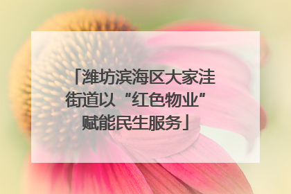 潍坊滨海区大家洼街道以“红色物业”赋能民生服务