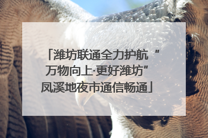 潍坊联通全力护航“万物向上·更好潍坊”凤溪地夜市通信畅通