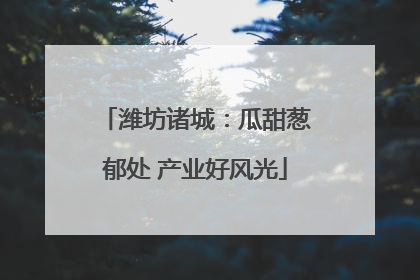 潍坊诸城：瓜甜葱郁处 产业好风光