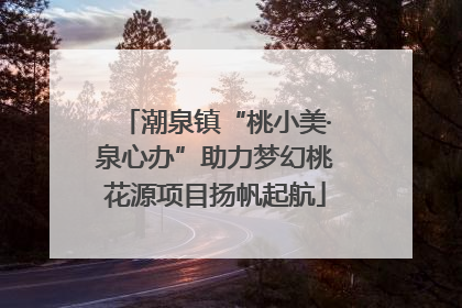 潮泉镇“桃小美·泉心办”助力梦幻桃花源项目扬帆起航