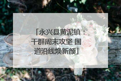 永兴县黄泥镇：干群周末攻坚 国道沿线焕新颜