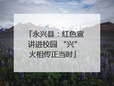 永兴县：红色宣讲进校园 “兴”火相传正当时