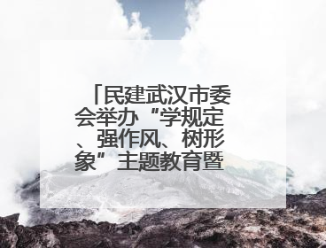 民建武汉市委会举办“学规定、强作风、树形象”主题教育暨参政议政能力素质提升培训班