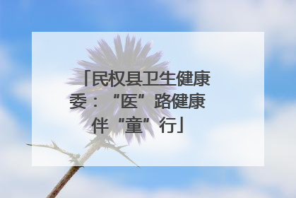 民权县卫生健康委：“医”路健康伴“童”行