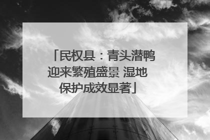 民权县：青头潜鸭迎来繁殖盛景 湿地保护成效显著