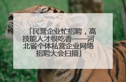 民营企业忙招聘，高技能人才很吃香——河北省个体私营企业网络招聘大会扫描
