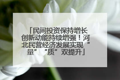 民间投资保持增长 创新动能持续增强！河北民营经济发展实现“量”“质”双提升